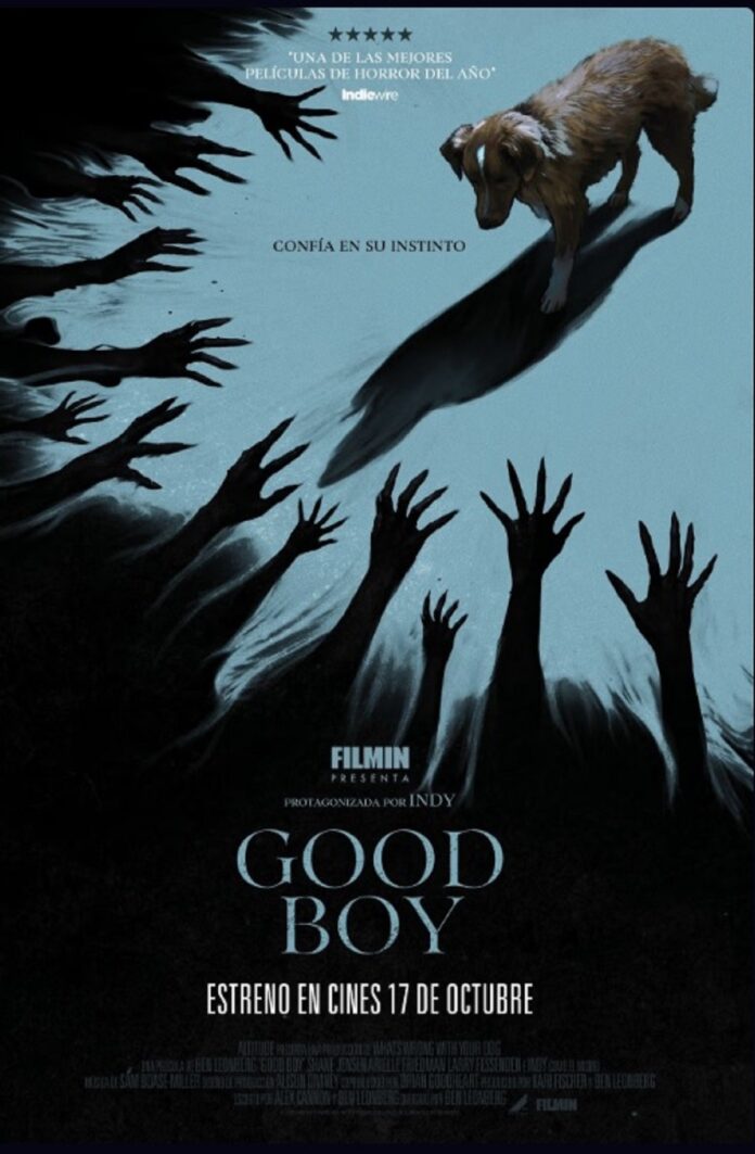 Good Boy, de Ben Leonberg.