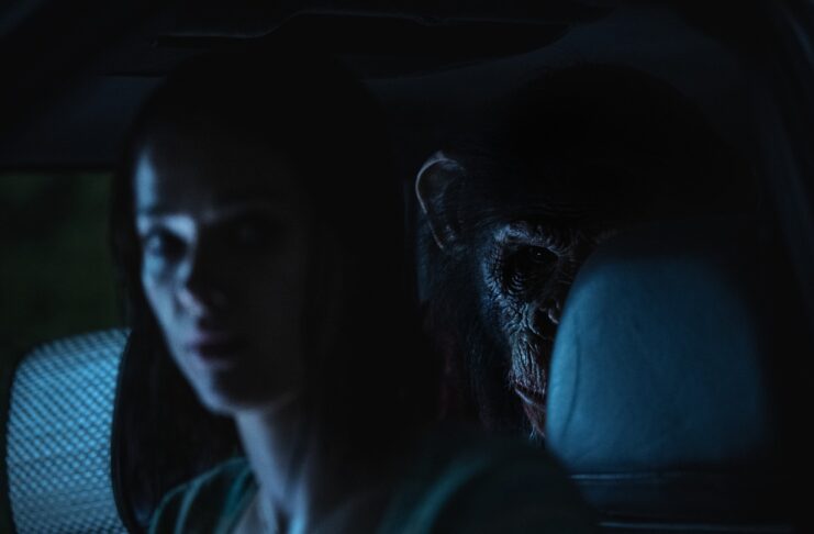 SITGES 2025 | PRIMATE. Cuando la fórmula funciona Primate, de Johannes Roberts. (c) Paramount Pictures