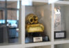 El trofeo de honor del FESTIVAL ISLA CALAVERA, en la exposición del Fantastic Pavilion en Cannes El trofeo de honor del Festival Isla Calavera, en Cannes.