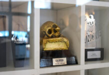 El trofeo de honor del FESTIVAL ISLA CALAVERA, en la exposición del Fantastic Pavilion en Cannes El trofeo de honor del Festival Isla Calavera, en Cannes.