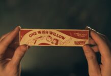 Curry Barker, director de OBSESSION: de YouTube a la gran pantalla Obsession, de Curry Barker. (c) Universal Pictures