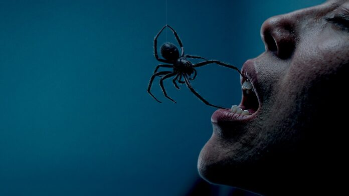 Crawlers, de Ángel González Hernández.